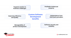 list of custom software development benefits