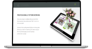 Case Study – Floral Company Websites Developing